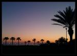 - SunSet -