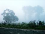 ...fog
