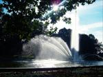 fountain