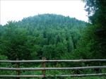 Carpathian Mountains