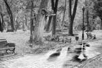 park