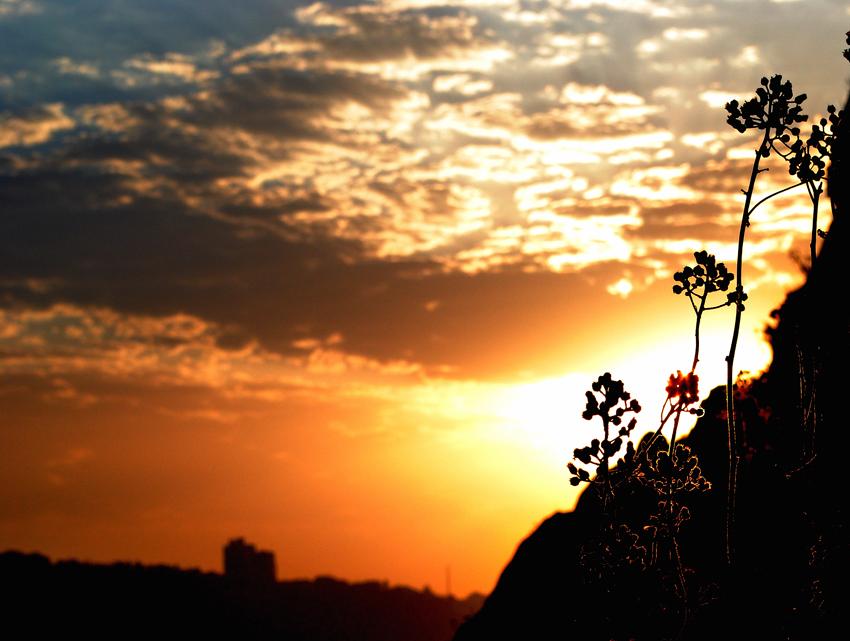 sunrise