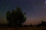 STARS