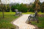 bench