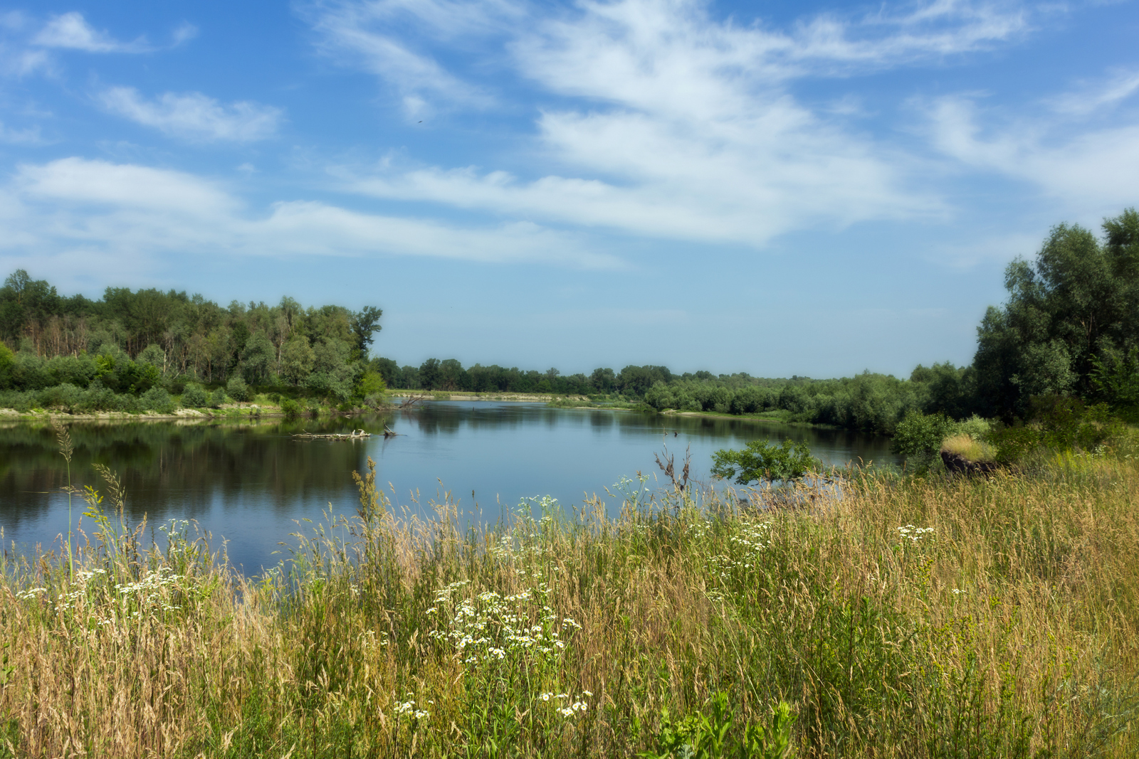 Літо на Десні. десна, літо, остер, пейзаж, річка