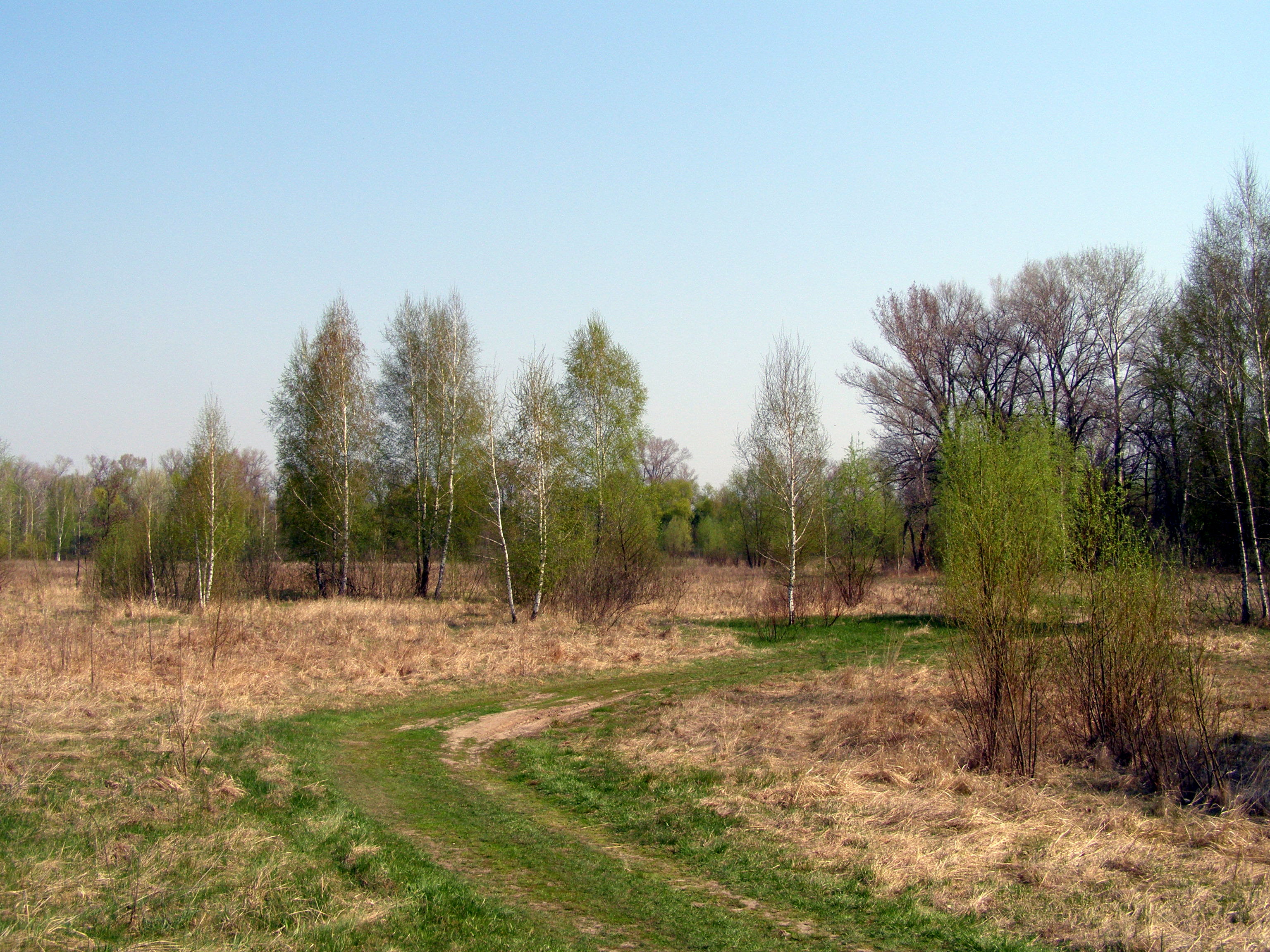 Весна