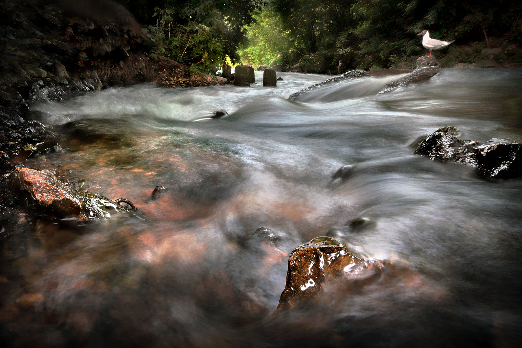 Река забвения. Лета река забвения. Река забвения лета фото. Lethe River.