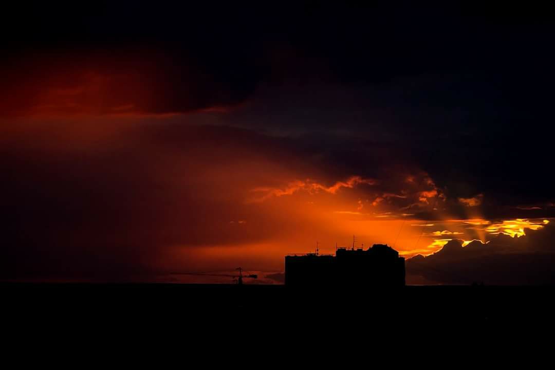 Canon EOS 600D, 55-250 IS II, f/4.5, 1/250c., ISO 400
