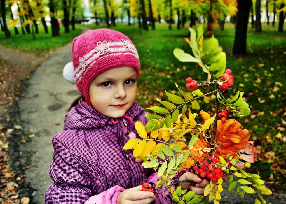 краски осени
