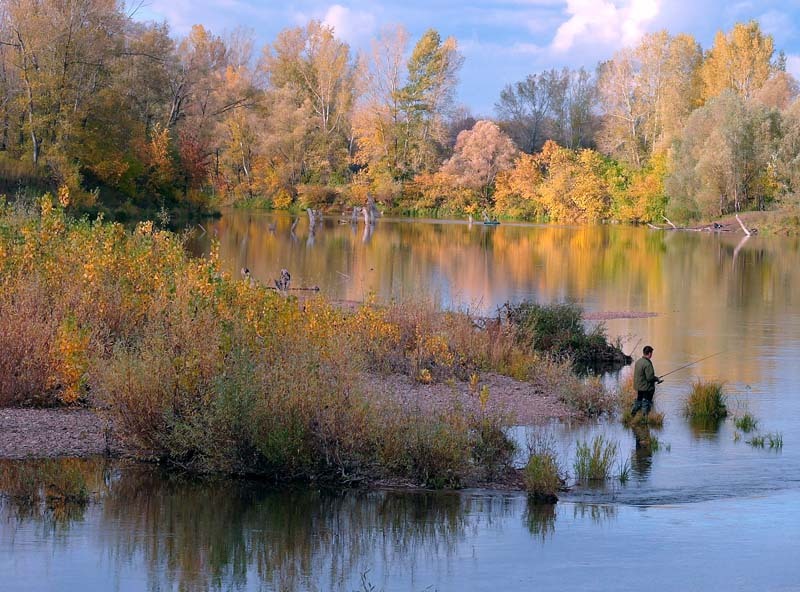 Рыбак рыбак, осень, белая река
