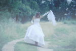 rain and veil