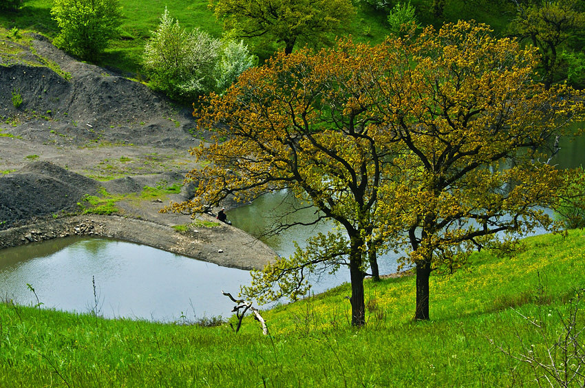 Пара
