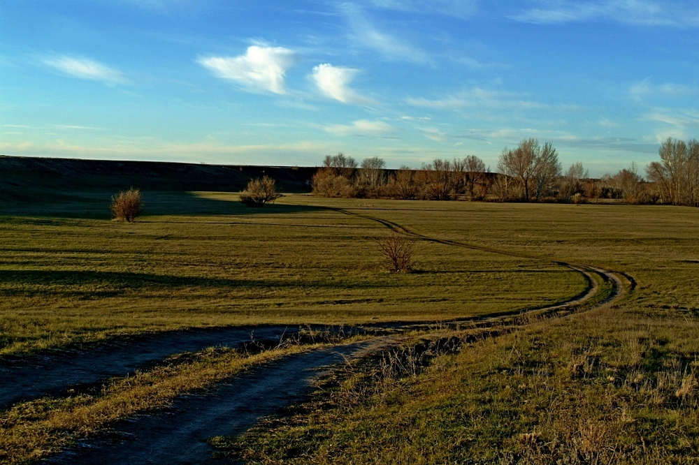 дорога в осень