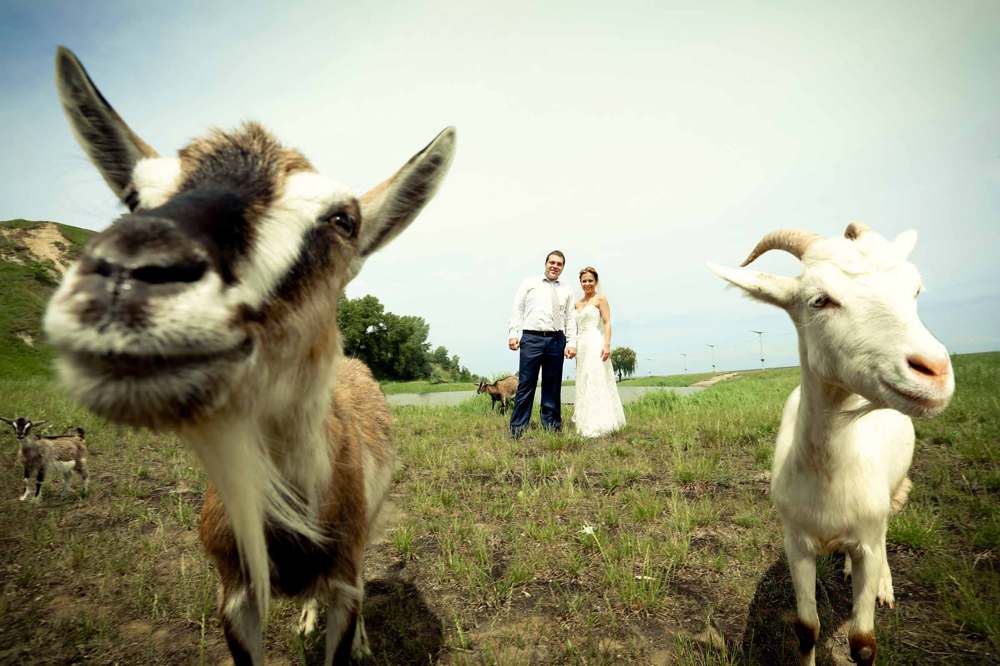 wedding story