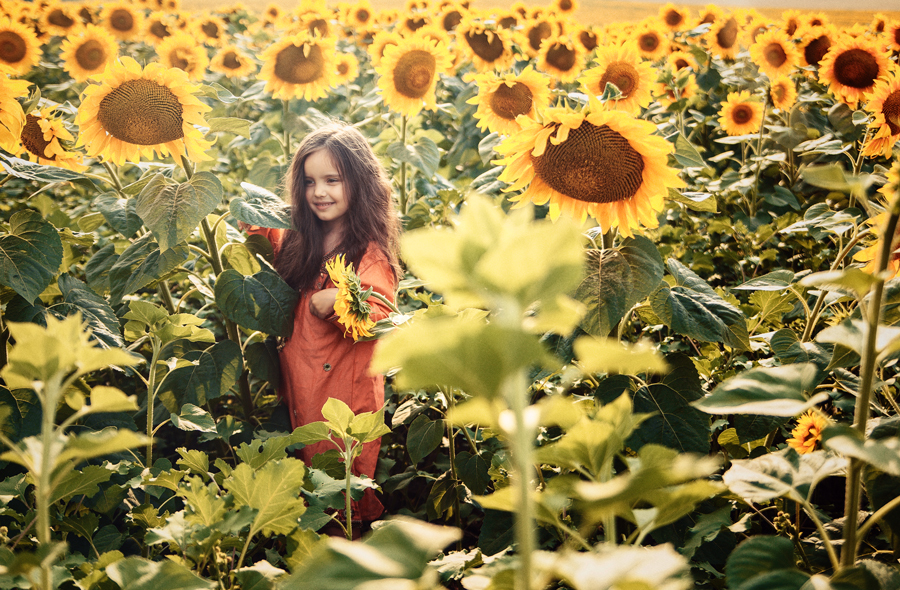 sunshine...