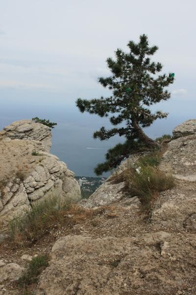 Ай-Петри2