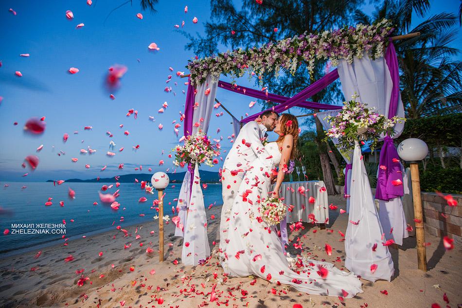 Rain made of rose petals wedding, petals, rose