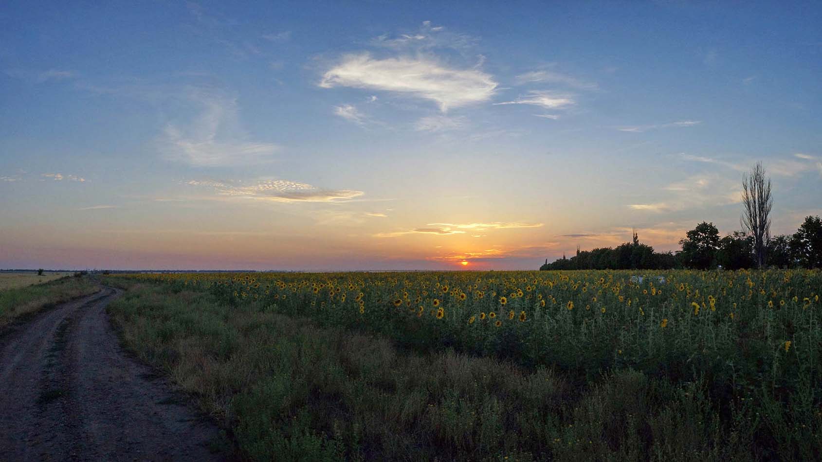 Звечоріло...