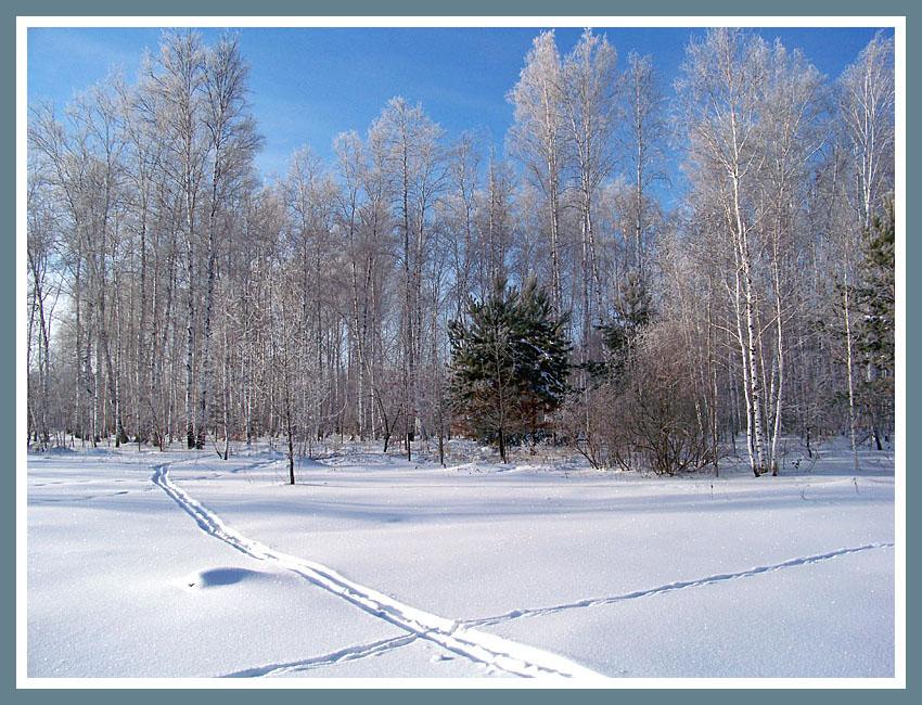 ...Перезимье зима, лес