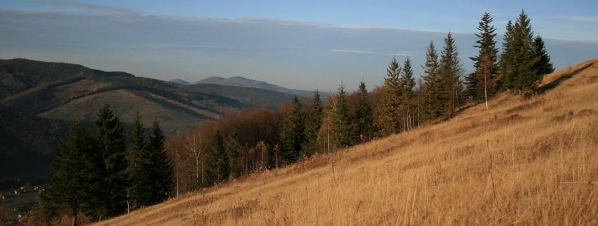 ...Осінь в горах (гора Маковиця)