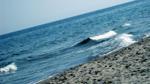 catch a wave 8)