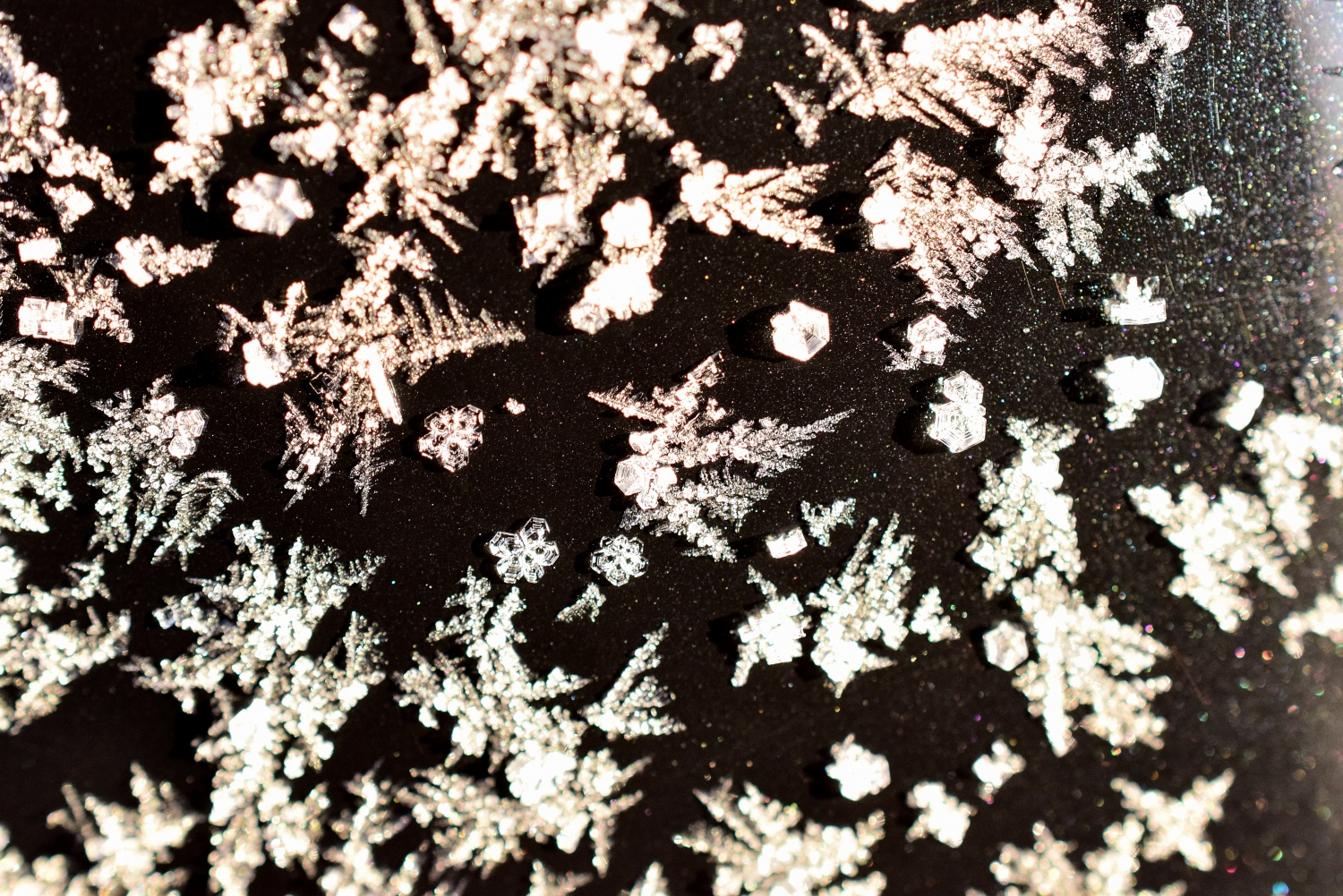 Snow Infinity