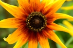 ³ 