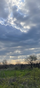 ���� �� ����