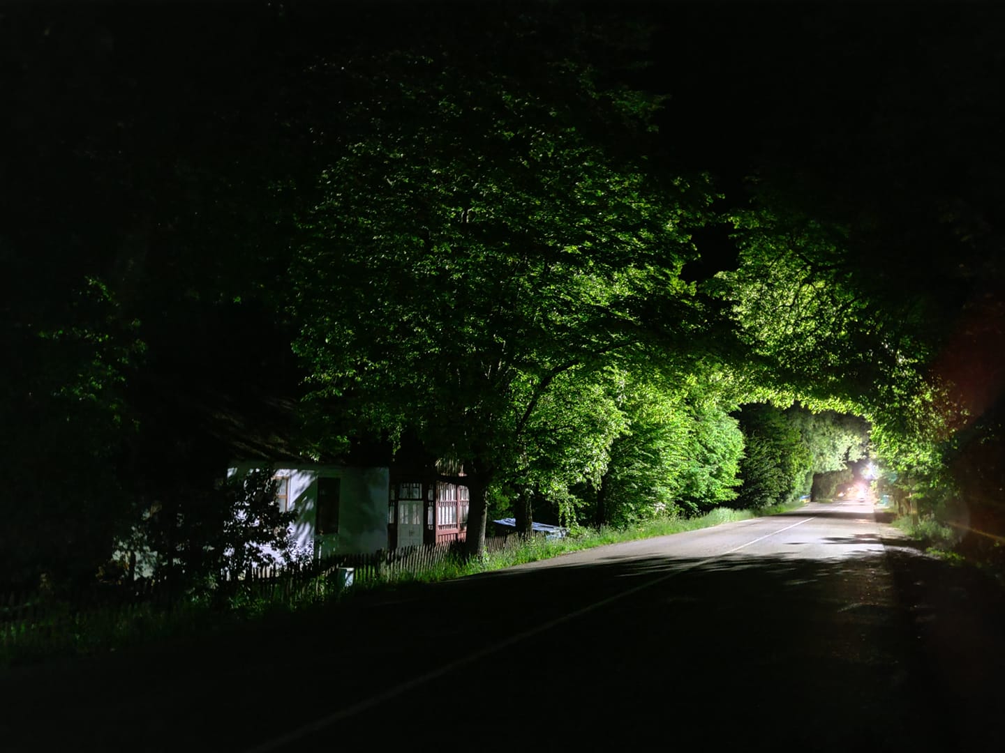 Ніч
