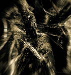 "The sound of the hand". .
