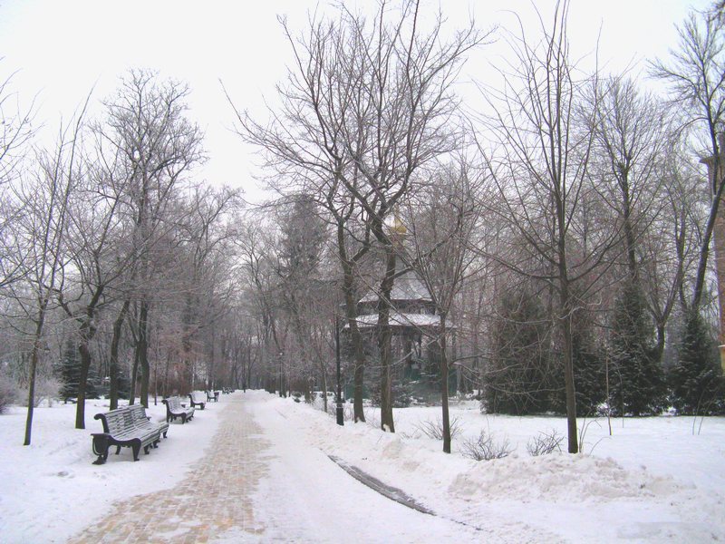 Тишина