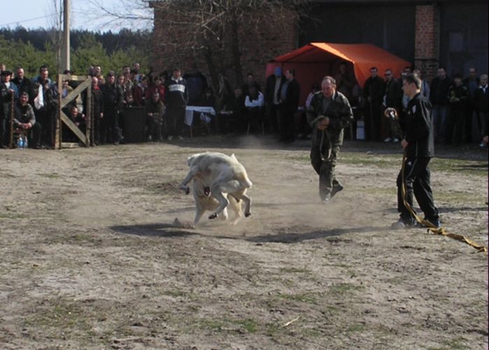 бой
