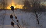    -30...