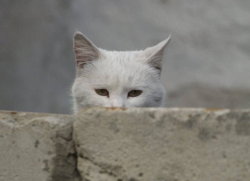 я слежу за тобой