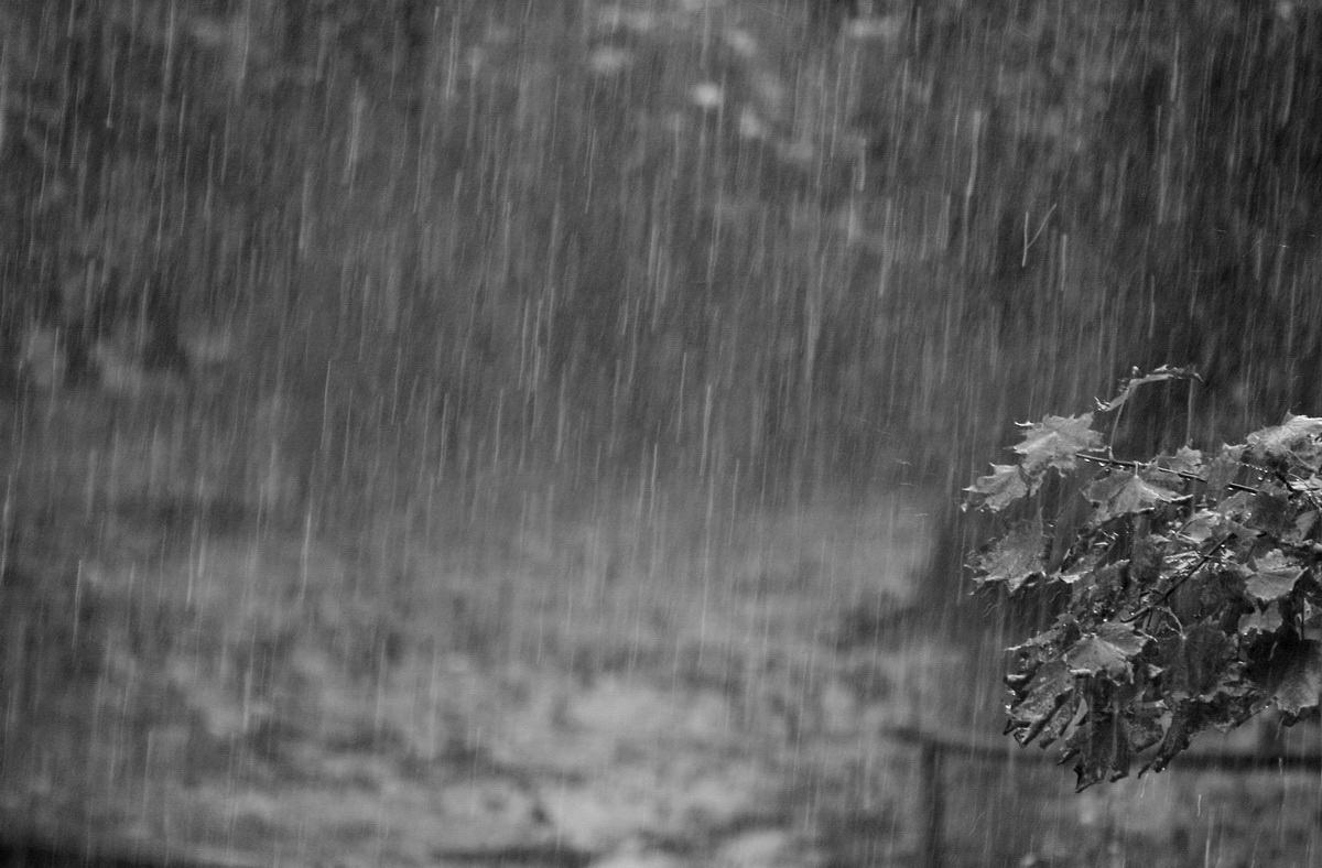 На пороге дождь. Косой дождь. Осенний дождь. Сильный дождь осень. Ливень осень.