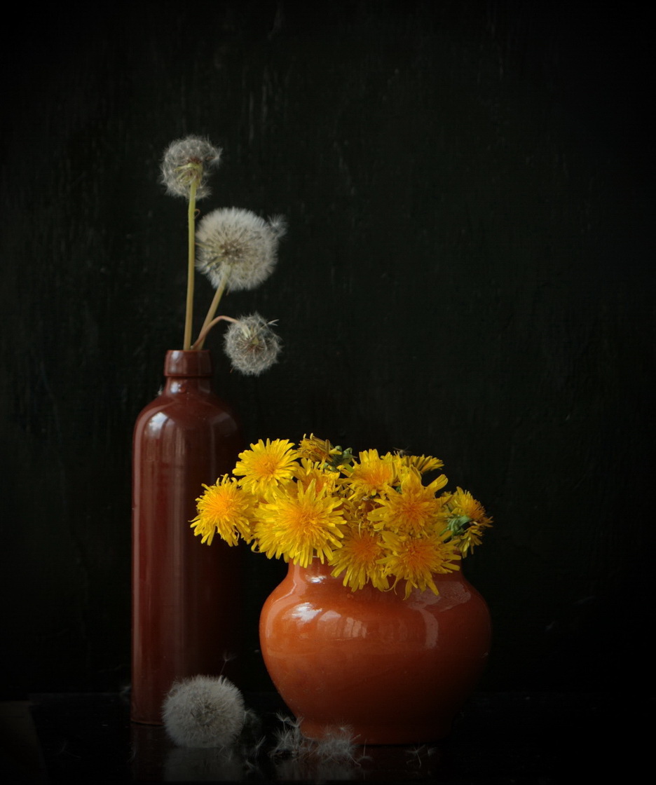 бутылка, ваза, цветы, одуванчики жёлтые, отцвёвшие