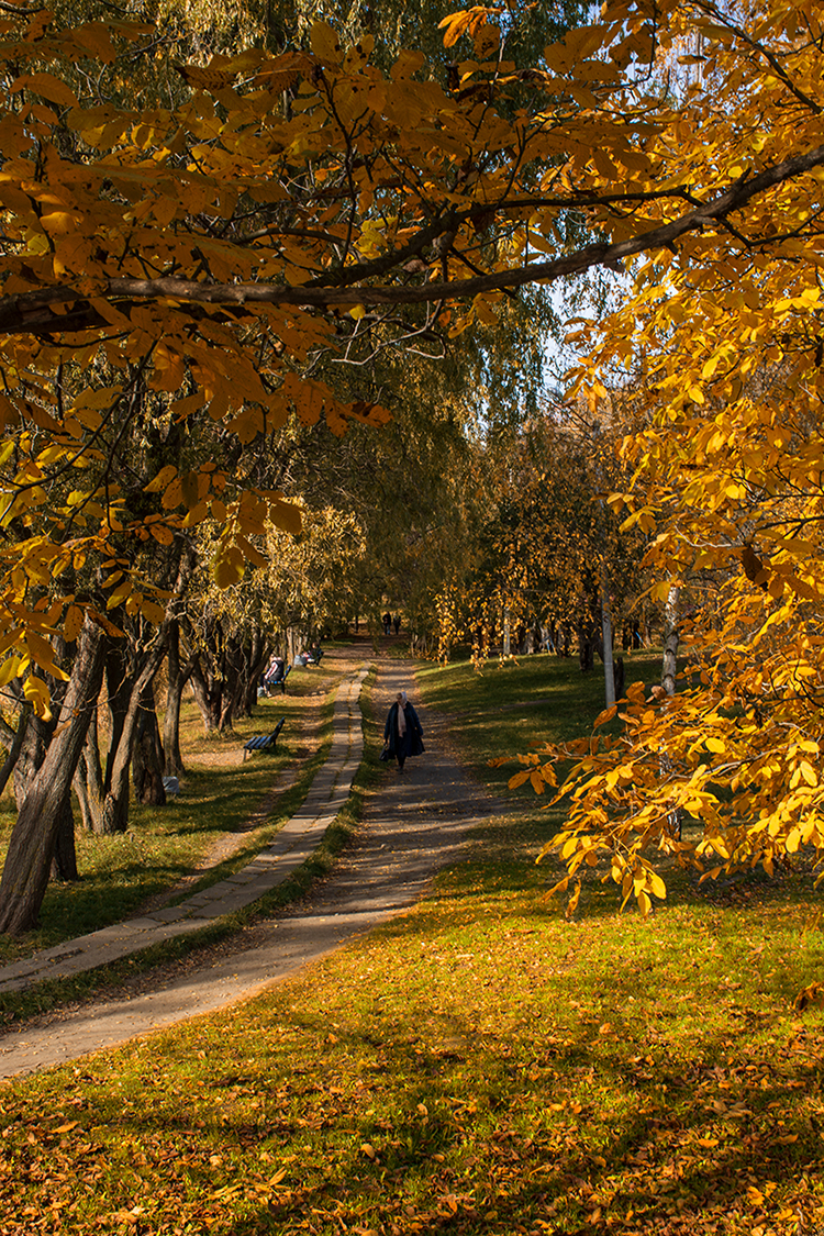 Краски осени.