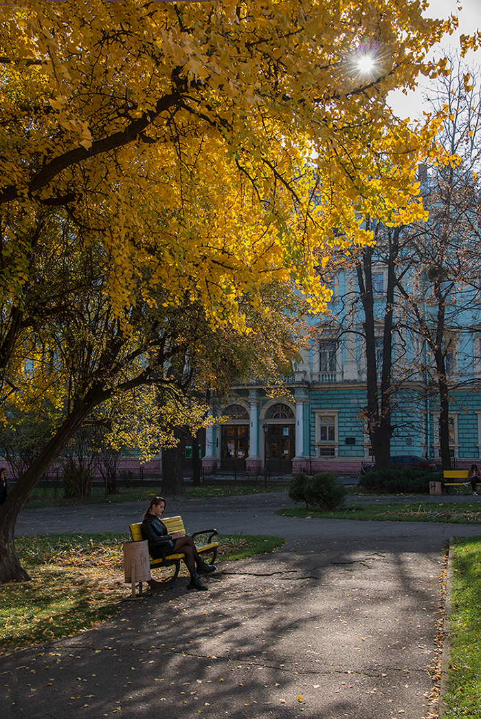 Осень в городе.