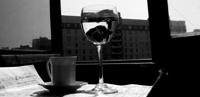 Утро улиток.