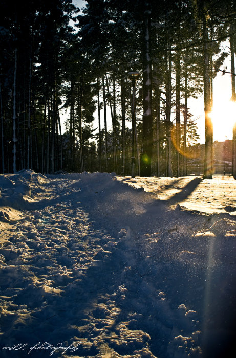 winter history