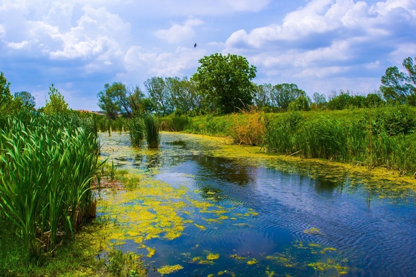 Водный пейзаж