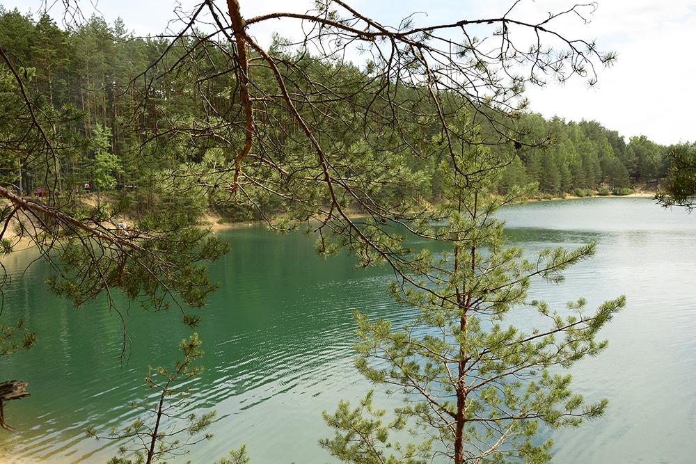 Зеленая гладь