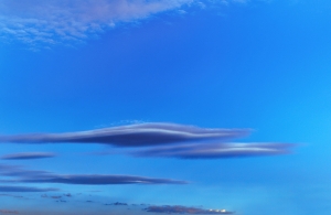 Family of Sky Fin Whales