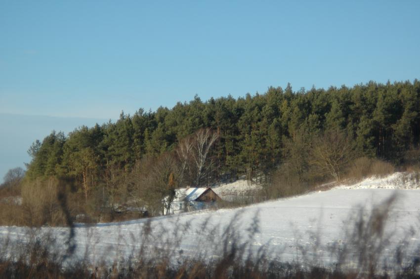 Домик леснека