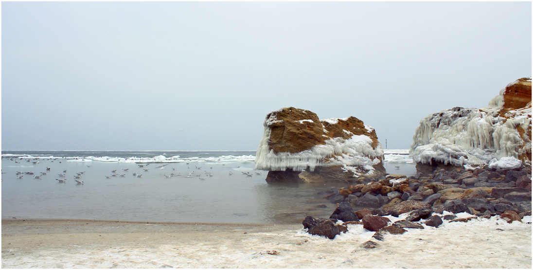 ... море, чайки, камни, лед
