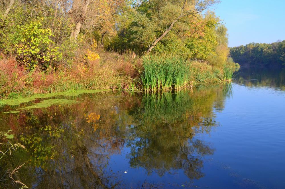р. Северский Донец