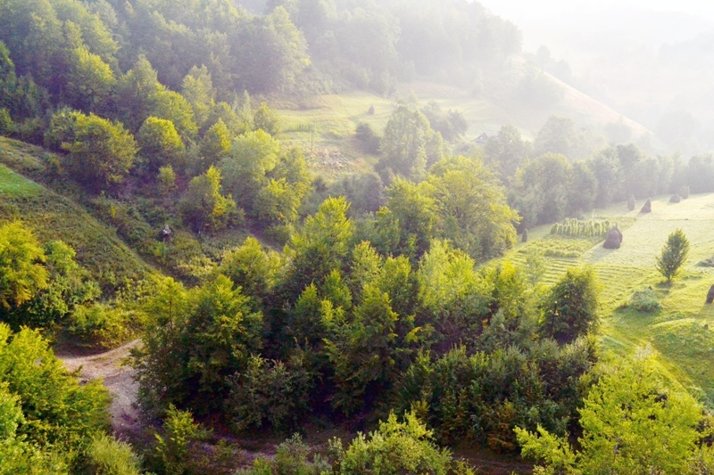 Утро в Карпатах природа в горах