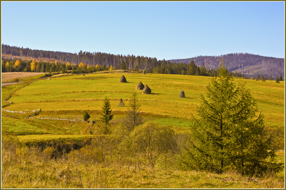 В Карпатах осень горы, природа, осень, пейзаж