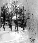 NIK_2555