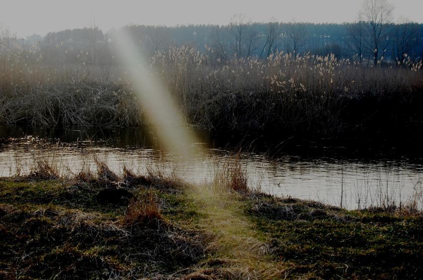 ...проблеск солнца природа., луч, весна